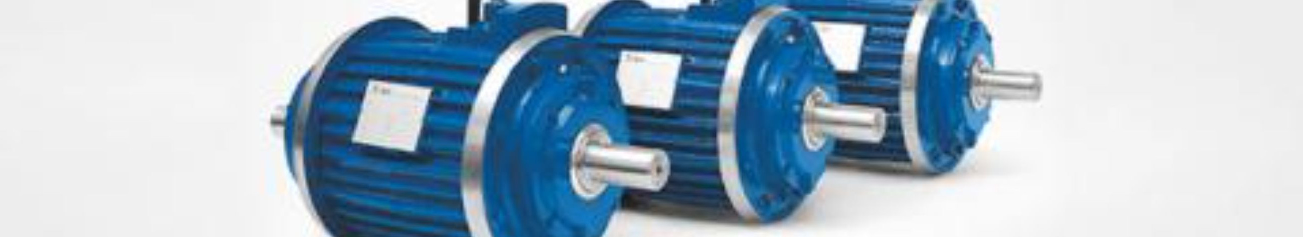 Tarnime tuntud tootjate elektrimootoreid, reduktoreid, sagedusmuundureid ja varugeneraatoreid. Kohalik kontakt Peetris tagab kiire tarne ja lihtsustatud hankimise.