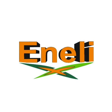 ENELI-X OÜ logo