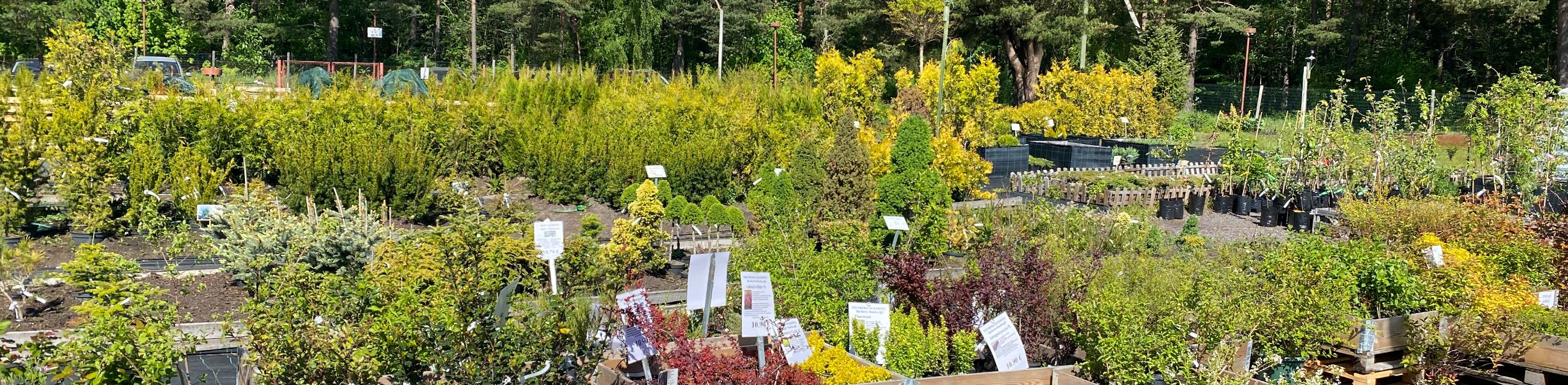 Business media page visits - 1665; followers - 38. Reviews - 0; Articles 1+ 