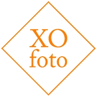 12200543_xofoto-ou_29412539_a_xl.jpg