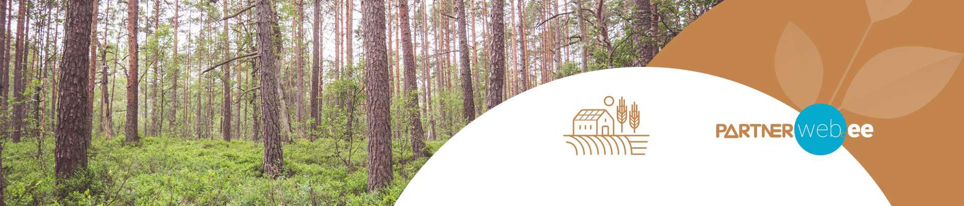 metsaraie teenused, Mitmesugused metsandusega seotud teenused