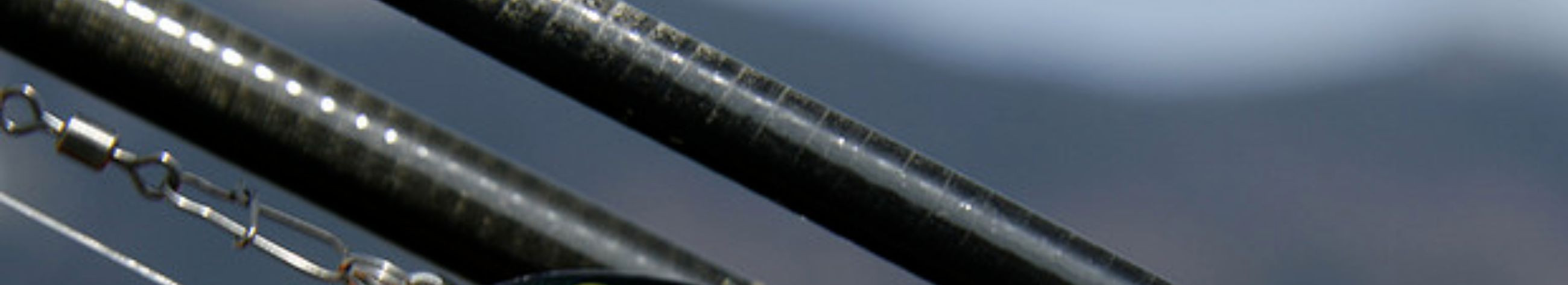 We create and manage reliable websites and e-shops. We offer continuous technical support and sell fishing equipment in the online store.