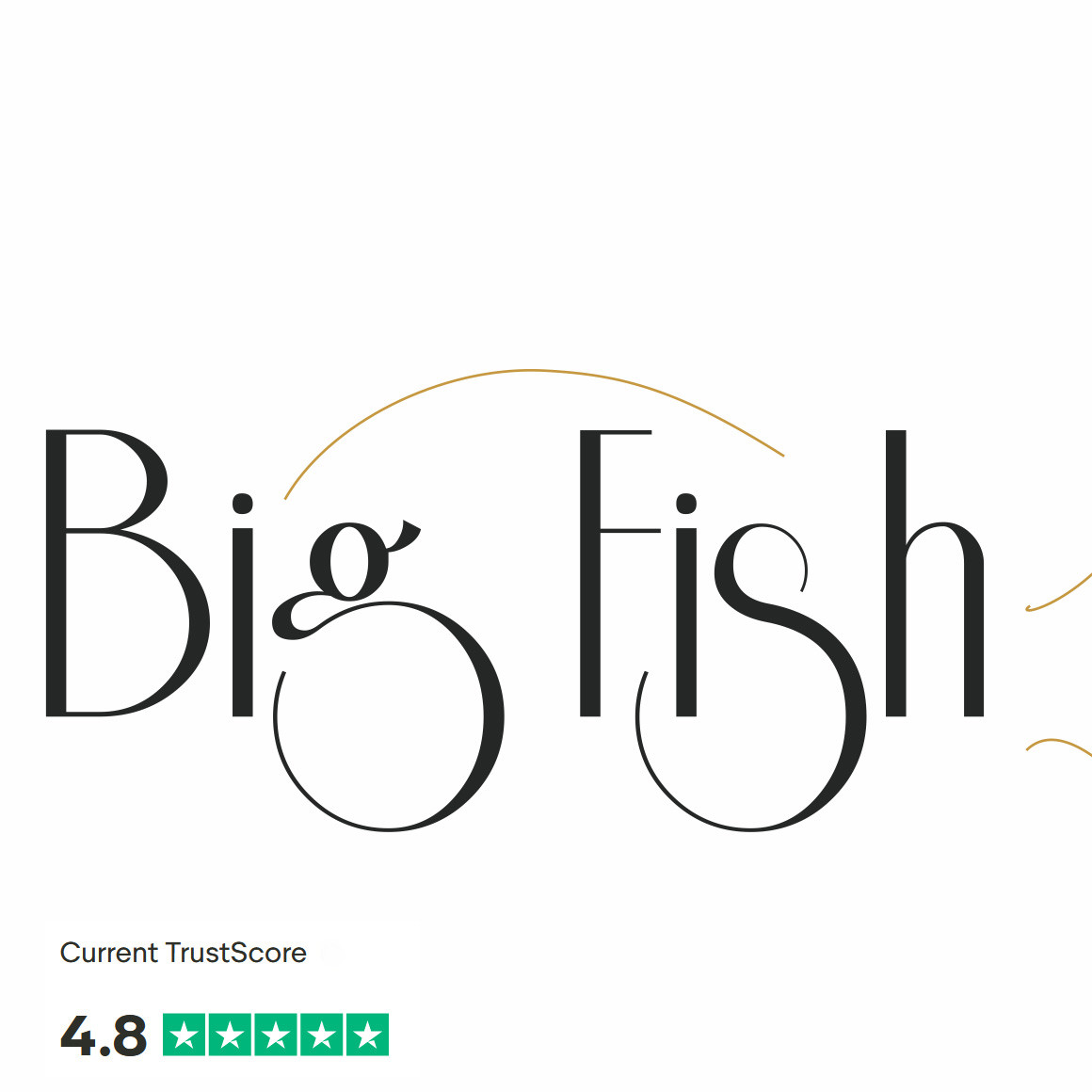 BIG FISH OÜ logo