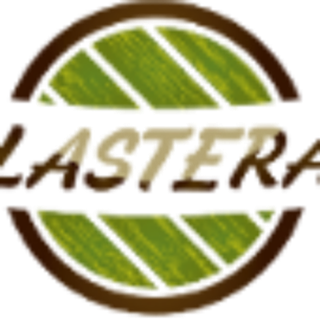 PLASTERAL OÜ logo