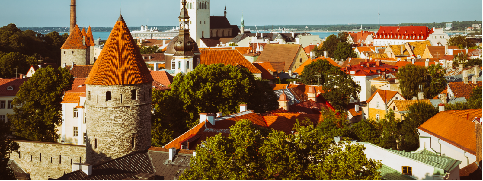 Bookkeeping, tax consulting in Tallinn