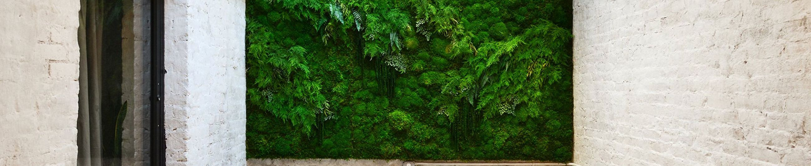 the Shop, design and design, artificial plant wall, stabilized moss, trade and services