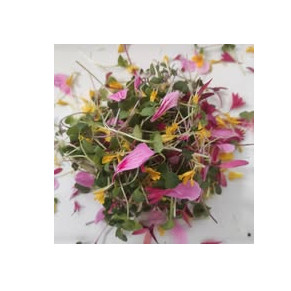 AUSTUSEGA LOODUSES OÜ logo