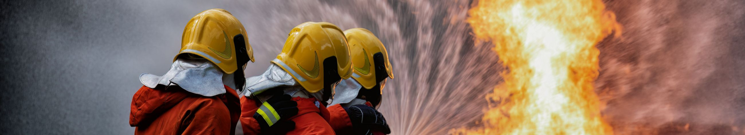 Firepro OÜ pakub välja võimaluse aitamaks lahendada ettevõtetes tuleohutusalaselt üles kerkinud probleeme ja küsimusi. Meie kollektiiv koosneb päästealase hariduse ja töökogemustega inimestest.