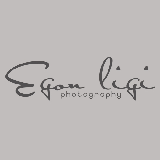 EGONLIGI OÜ logo