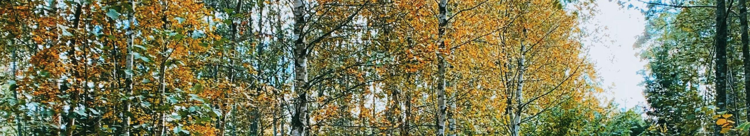 We organize a water trip and event services for Aegvidu. Up-to-date information and reservations can be found in Hermanevents.ee; please contact your phone or e-mail.