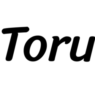 TORUGURUD OÜ logo