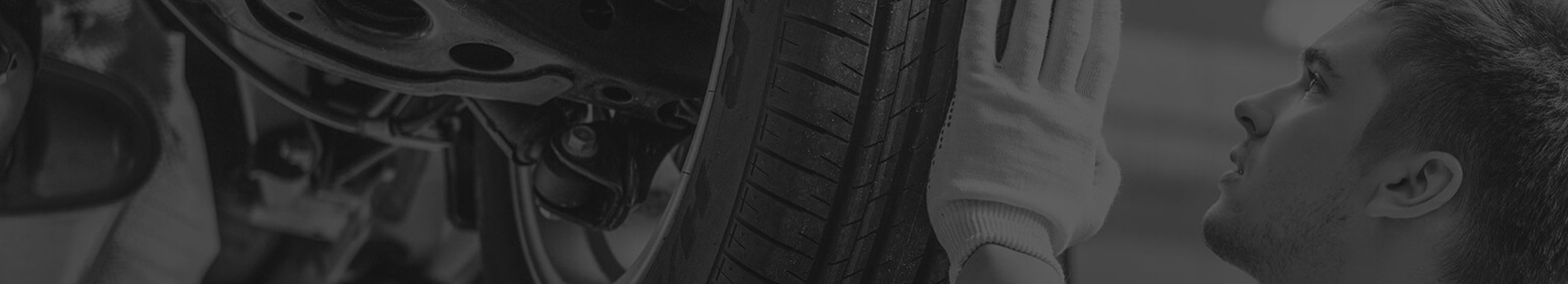 replacement of tyres, mechanical services, maintenance and diagnostics, engine diagnostics, chassis control, brake system control, suspension analysis, oil change, repair of brakes, repair of the chassis