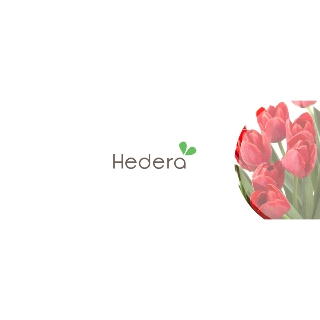 HEDERA OÜ logo