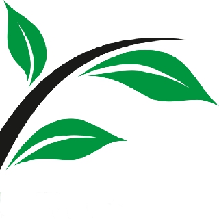 PRAKTOV OÜ logo