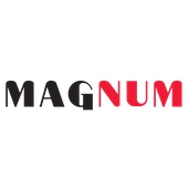 MAGNUM AS - Business and other management consultancy activities in Saue vald