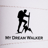 CUE & PLAY OÜ - My Dream Walker
