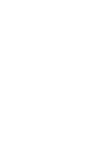 METEORIIT OÜ logo