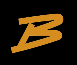 BASAAR GROUP OÜ logo