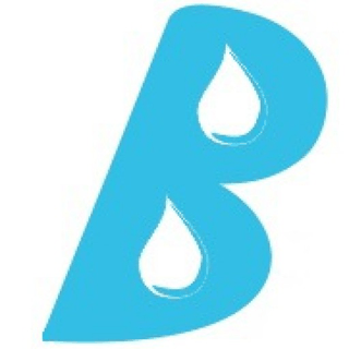 BASSEINIMEISTER OÜ logo