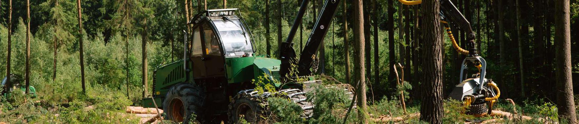 Erametsandus OÜ põhitegevusalaks on metsakasvatus ja muud metsamajanduse tegevusalad.