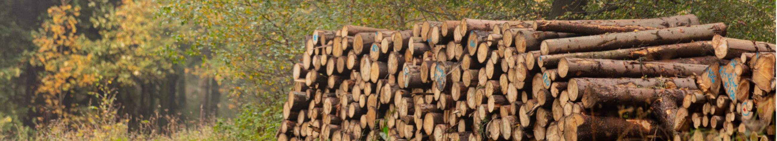 Tegeleme metsahoolduse ja metsamajandusega, aidates klientidel säilitada ja arendada oma metsamaad.