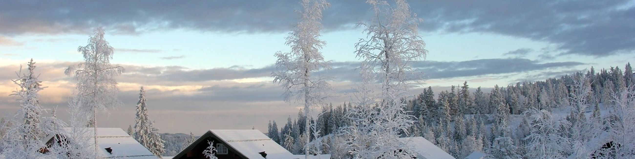 Icy Getec paigaldab alates 2013. aastast Kanada soojusvahu tootja Icynene H2FOAM soojustusvahte Eestis. Töid teostab materjali tootja poolt litsenseeritud paigaldaja.