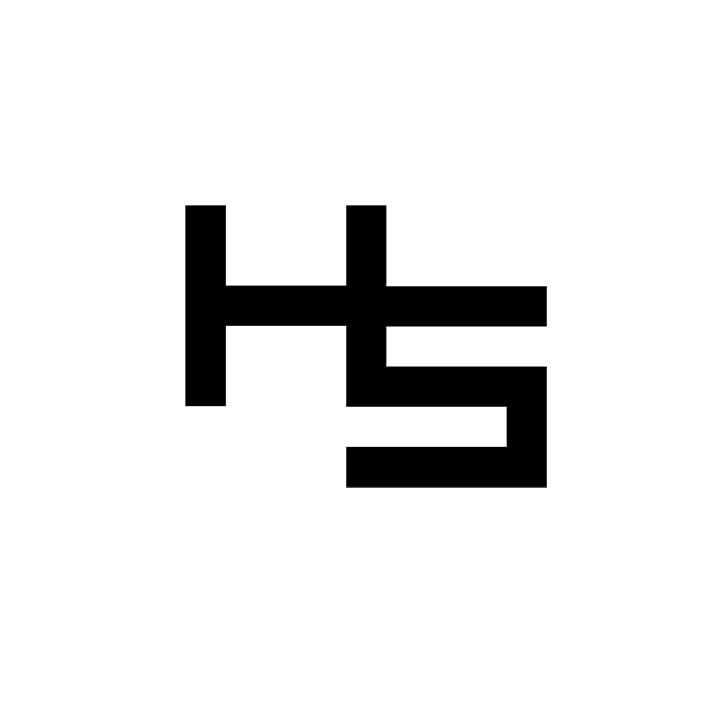 HS VIIMISTLUS OÜ logo