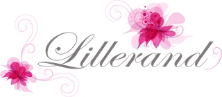 LILLERAND OÜ logo