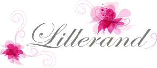 LILLERAND OÜ logo