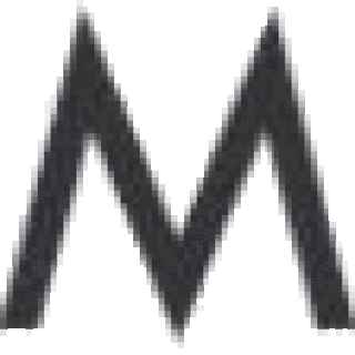 METSAVEERE MEISTRID OÜ logo