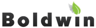 BOLDWIN OÜ logo