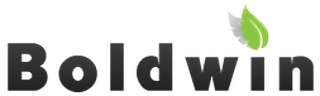 BOLDWIN OÜ logo