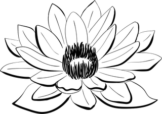 MAIGAME OÜ логотип