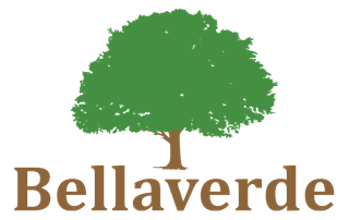Bellaverde Kinnisvara UÜ logo ja bränd