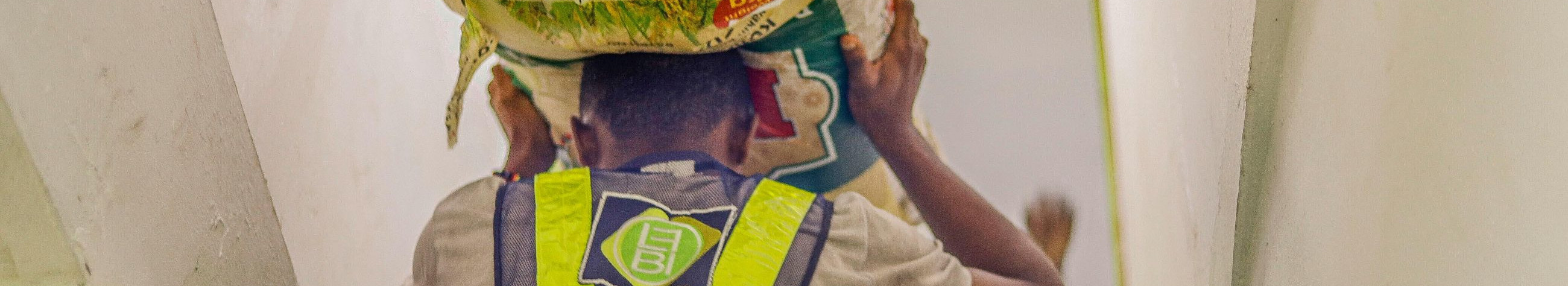 Staircases, Motor caravans, Exoskeletons, ergonomic supports, Storage carriages, Electric staircases, Stairway transport, solutions for narrow stairs, heavy loads, Hoists and hoists