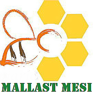 MALLAST MESI OÜ logo