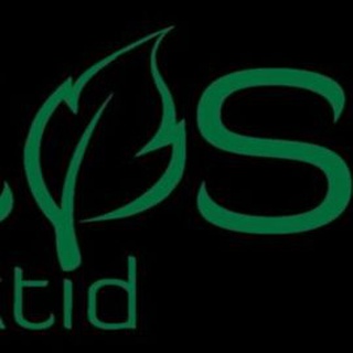 LOOTOS PROJEKTID OÜ logo