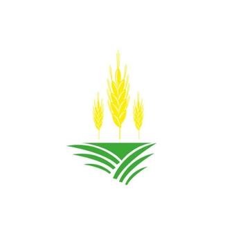 RAISMIKUOJA OÜ - Growing of cereals (except rice), leguminous crops and oil seeds in Türi vald