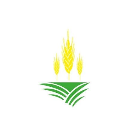 RAISMIKUOJA OÜ logo