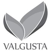 VALGUSTA OÜ - Specialised design activities in Estonia
