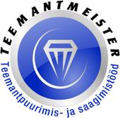 TEEMANTMEISTER OÜ - Other specialised construction activities n.e.c. in Saku vald