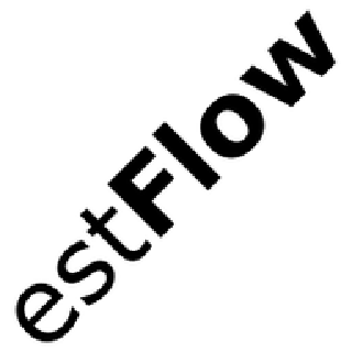 ESTFLOW CONSULTING OÜ logo