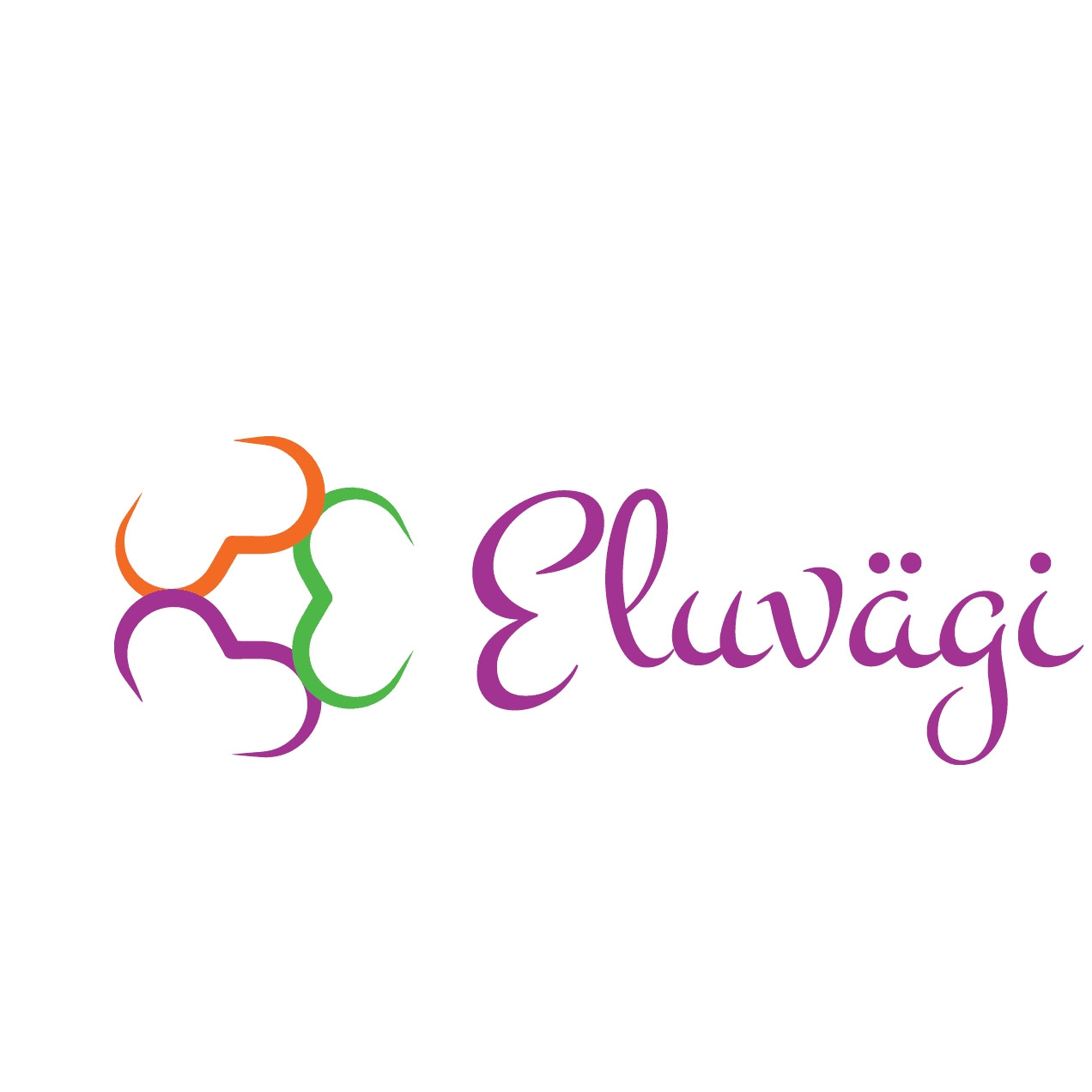 ELUVÄGI OÜ logo
