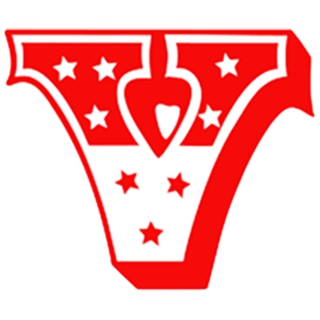 VIGURITE MAAILM OÜ logo