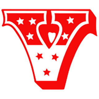 VIGURITE MAAILM OÜ logo