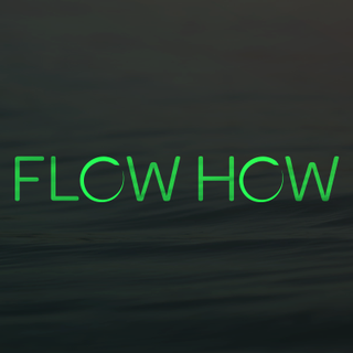 FLOWHOW OÜ logo