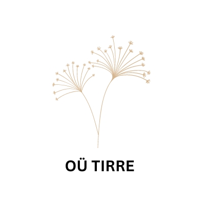 TIRRE OÜ logo