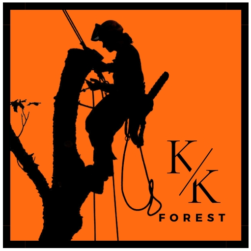 KK FOREST OÜ логотип