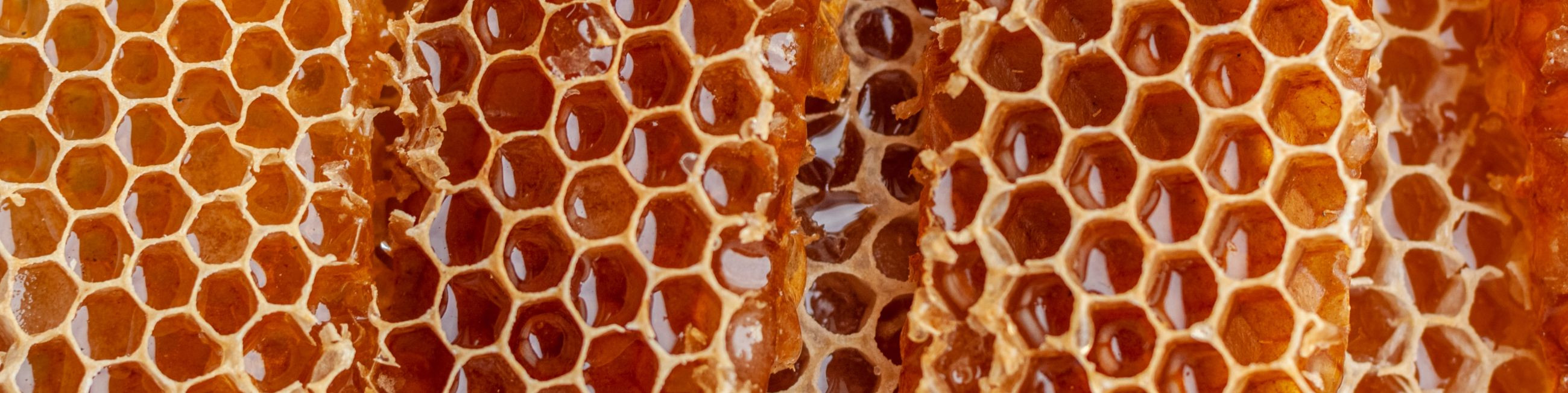 picked in estonia, beewax, honeycomb, traditional practices, nature-friendly activities, sales of bees, bee care, natural, healthy, pure honey