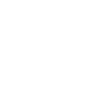 VERTICAL FITNESS OÜ логотип